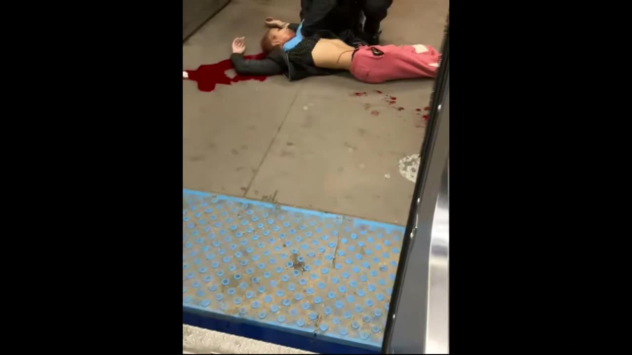 Kamira McMillen Fatally Shot After Argument on CTA Red Line Platform at 69th Street Station