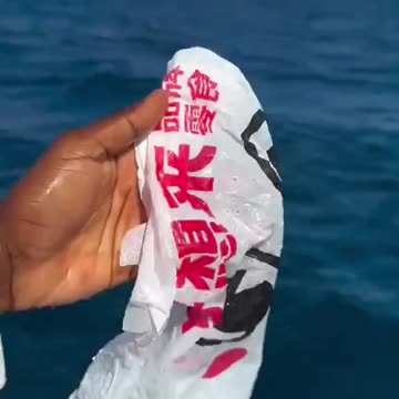 El delfín dándole las gracias: