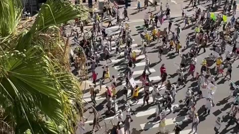 No Kings Day Protest in San Diego, Cammifornia