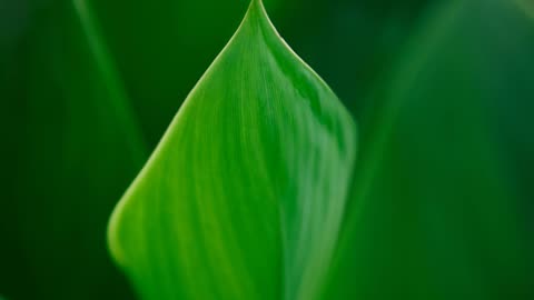 Divine instruction