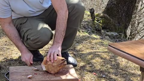 Cooking Wilderness Khash with Sheep Head and Feet