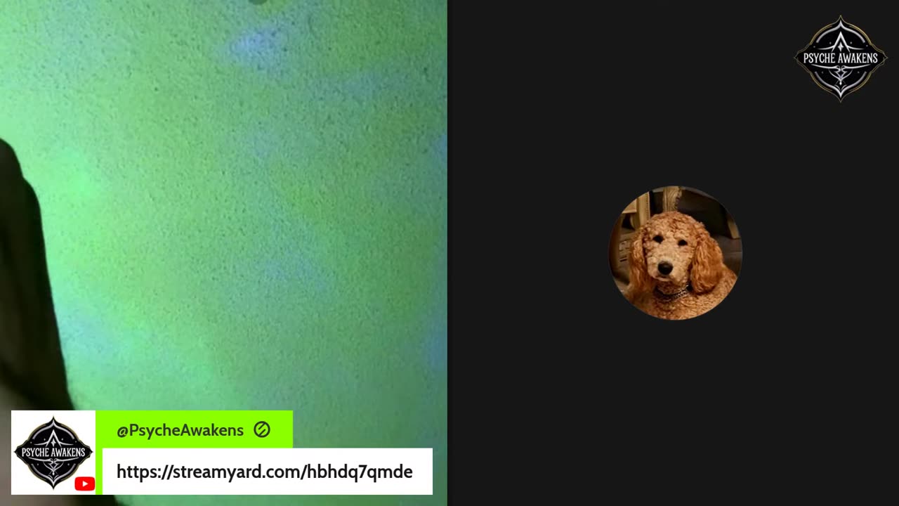 08/10/25 Psyche Awakens VOD: "One More Time"