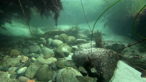 Shoreline Hangout - 9 Minutes to add to your relaxation playlist #nature #wellness