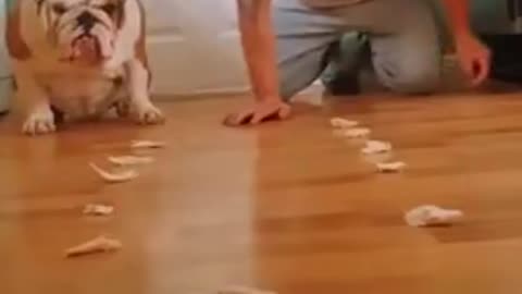 Enough talk, let’s chew.