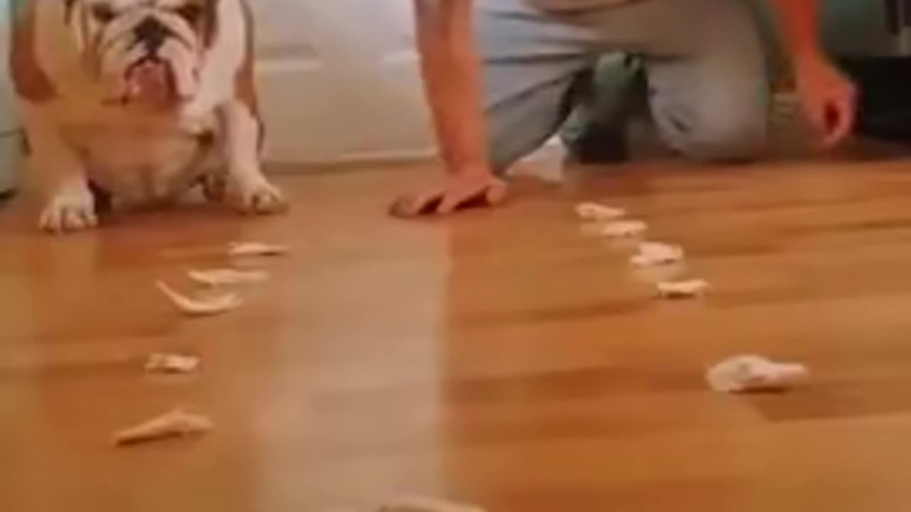 Enough talk, let’s chew.