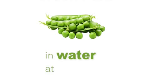 PM Powder Mixer for Green peas and water