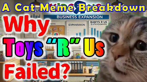 Why Toys R Us Failed – A Cat Meme Breakdown