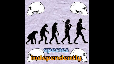 Neanderthals in China: The Stone Tools That Shattered History