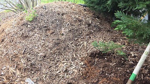 Making Free Compost