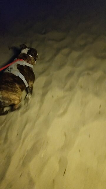 Emma finds the perfect spot!