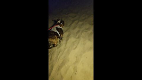Emma finds the perfect spot!