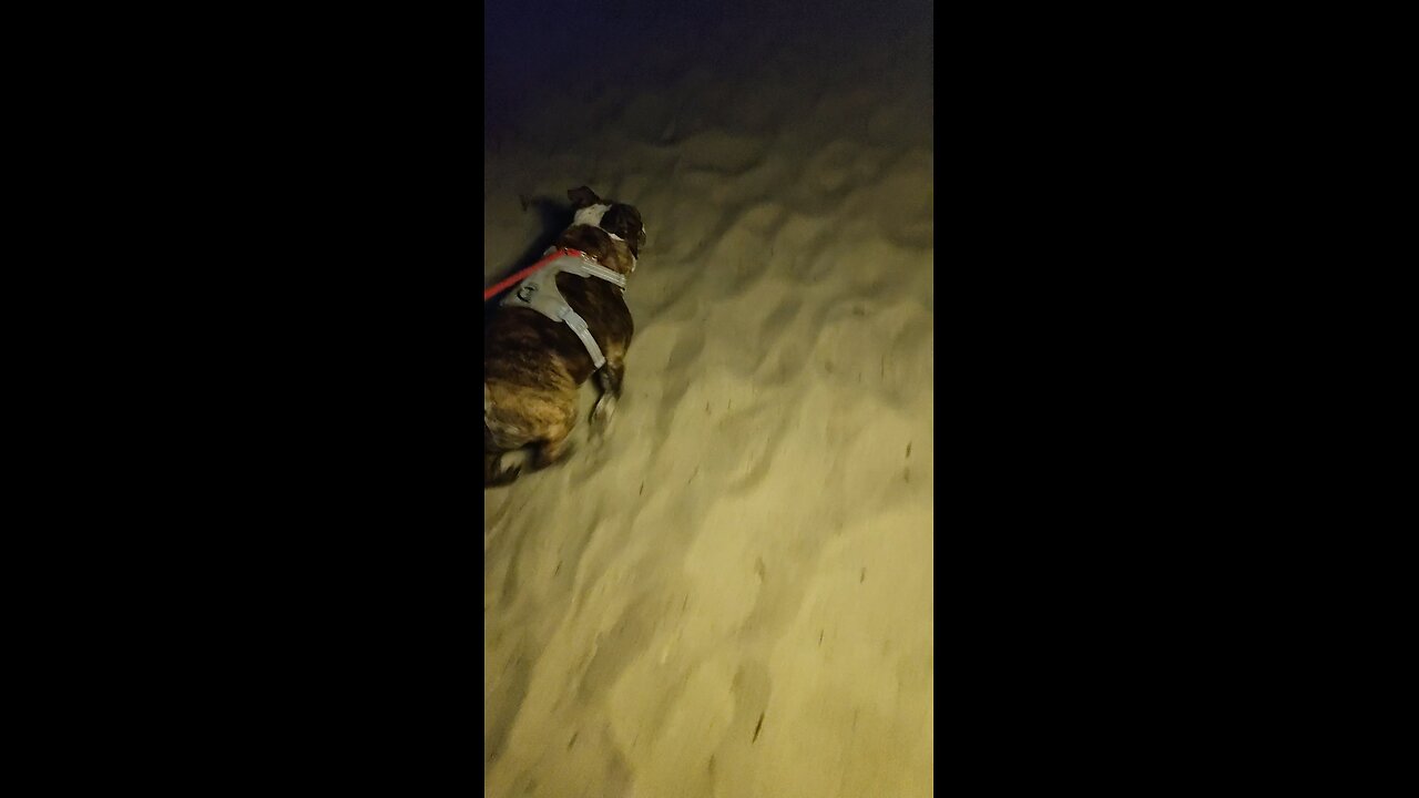 Emma finds the perfect spot!