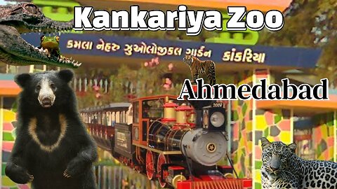 Kankariya Zoo Ahmedabad | White Tiger & Asiatic Lion Sightings | Wildlife for kids
