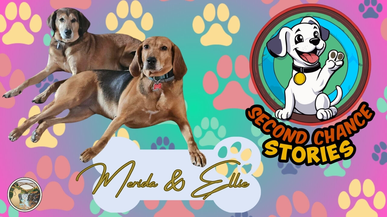 Merida & Ellie - Second Chance Stories