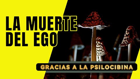 La Muerte del Ego Gracias a La Psilocibina
