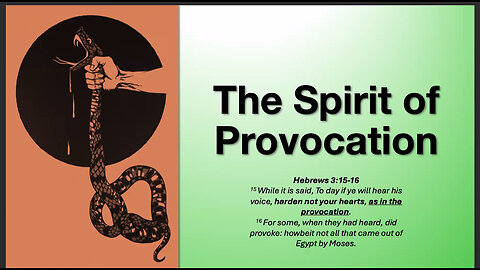The Spirit of Provocation