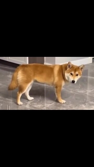 At such moments you just want to take and collapse