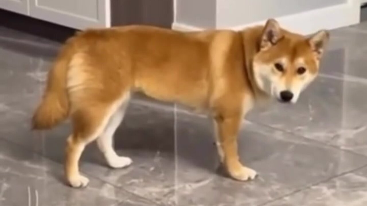 At such moments you just want to take and collapse