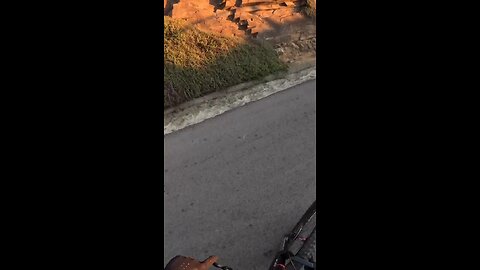 Riding Bikes Down In The City