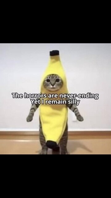 G'night fam. Here's a pine tree 2 year timelapse...