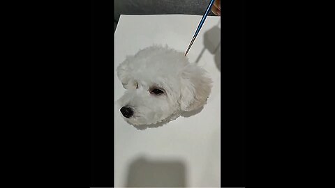 Cuteness Overload! 😍 Funniest Dog Moments Compilation