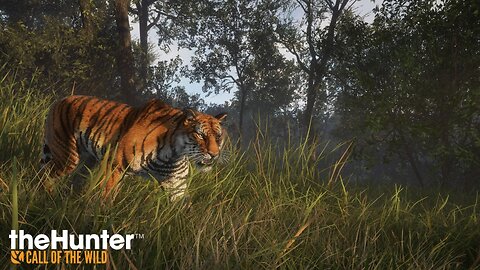 The Hunter - Call of the Wild - Sundarpatan Nepal Reserve (MISIONES)