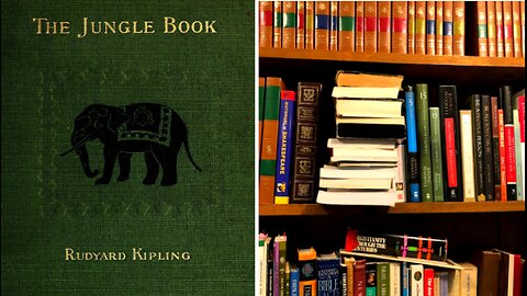 The Jungle Book - Mogli's Brothers part 1