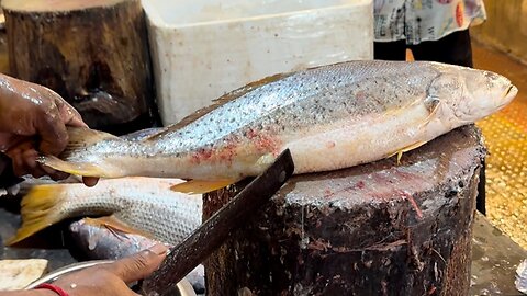 Amazing Fish cutting skill 03| you must watch
