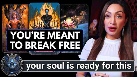 If You See This ~ YOU ARE ONE OF THE FEW Meant To Watch It! 🖤🖤🖤☾₊‧⁺