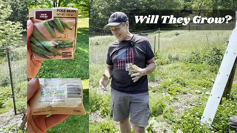 Can Beans from 1993 Still Sprout? Homestead Garden Test!