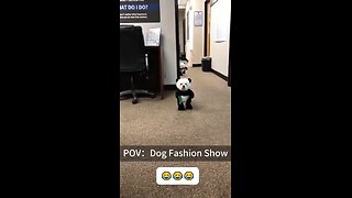 I double dare you not to laugh or smile