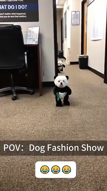 I double dare you not to laugh or smile