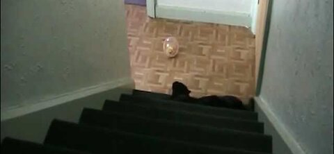 Snowball on the steps