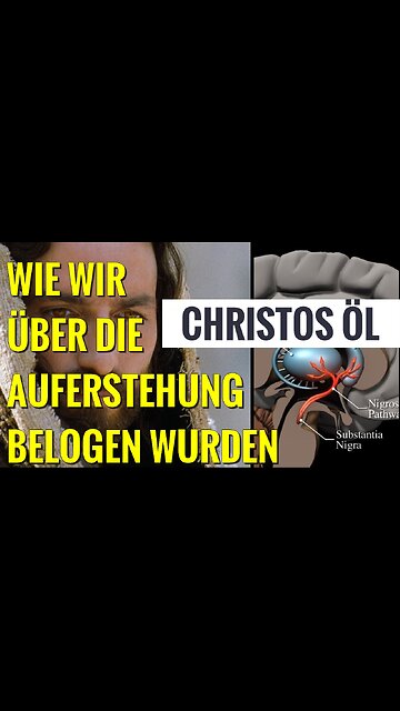 Das Geheimnis des Claustrums befindet sich hinter deinem Sakral Chakra