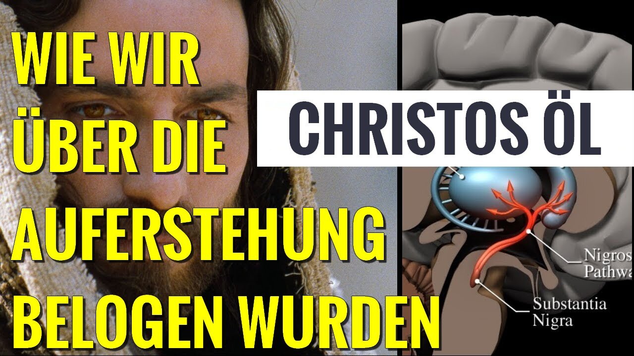 Das Geheimnis des Claustrums befindet sich hinter deinem Sakral Chakra