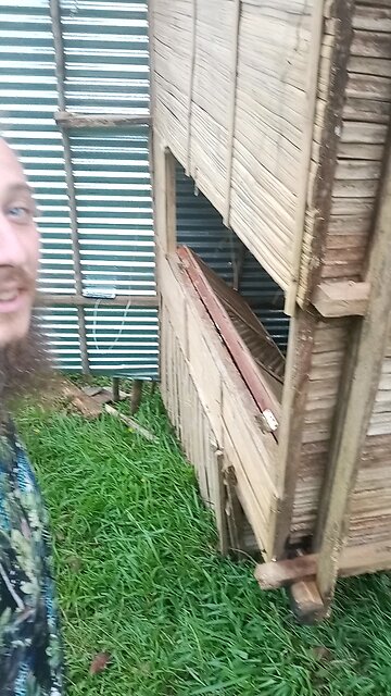 The Typhoon Blew This Bamboo House Over... 집이 쓰러졌다 태풍 떼문에... #typhoontino #philippines #pheden