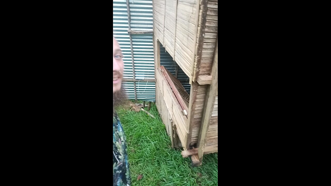 The Typhoon Blew This Bamboo House Over... 집이 쓰러졌다 태풍 떼문에... #typhoontino #philippines #pheden