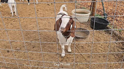 Graham Family Farm NW: 10:00 AM September 21 2025