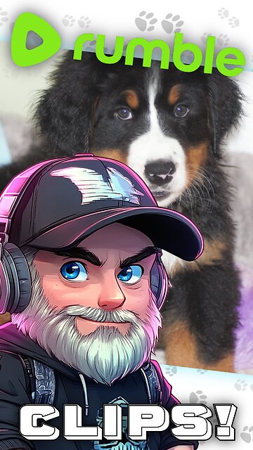 Poppy's Hydro Journey | #Bernese Mountain Dog #BMD - #cutedog | Week 1