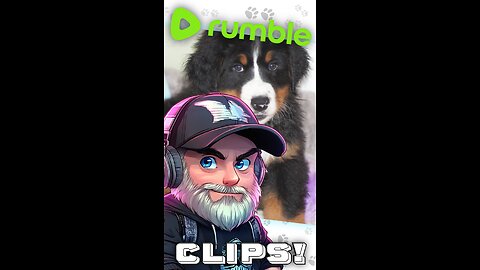 Poppy's Hydro Journey | #Bernese Mountain Dog #BMD - #cutedog | Week 1