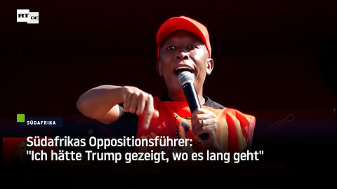 Südafrikas Oppositionsführer: "Ich hätte Trump gezeigt, wo es lang geht"