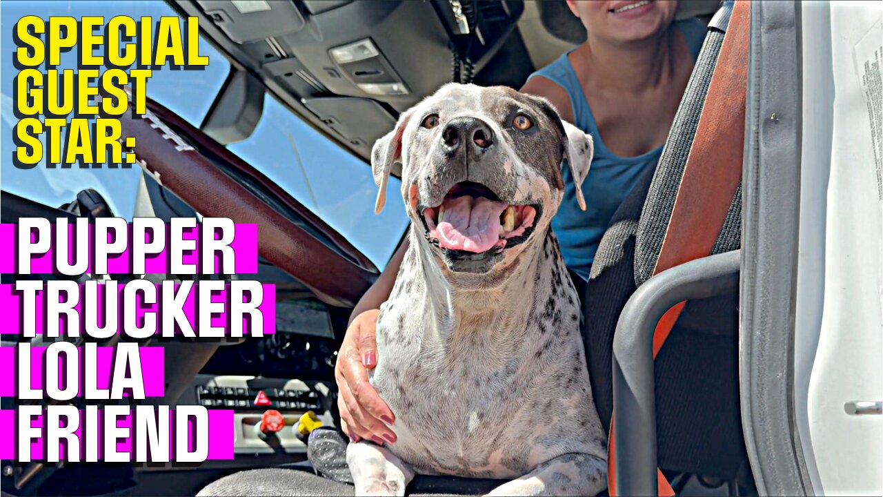 12 YR Old Dog Lola Fulfills Her TRUCKING Dream For A Day!