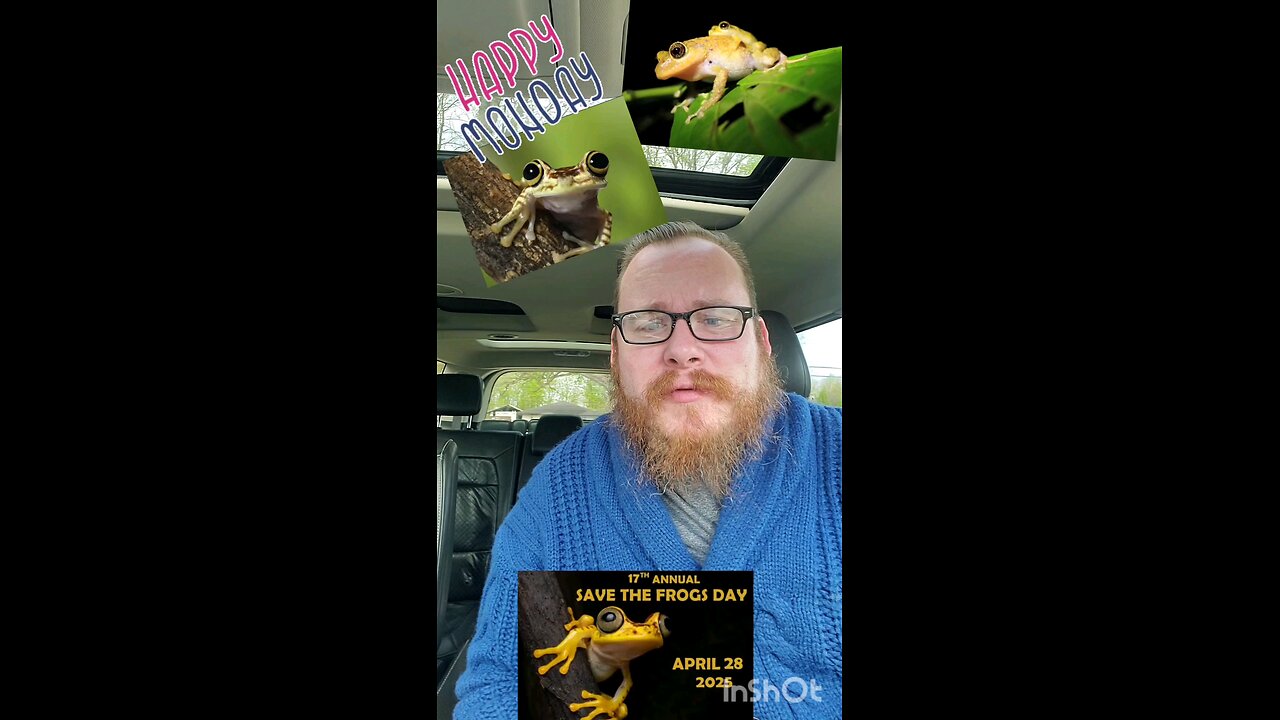 Monday Frogs and kisses.