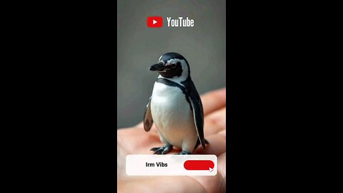 penguin