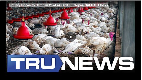 "2024 Poultry Prices Soar Due to Bird Flu Decimating U.S. Flocks"