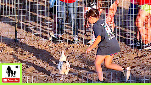 Claude Chicken Chase Part 1 - Caprock Roundup Celebration 2024 - Claude, Texas