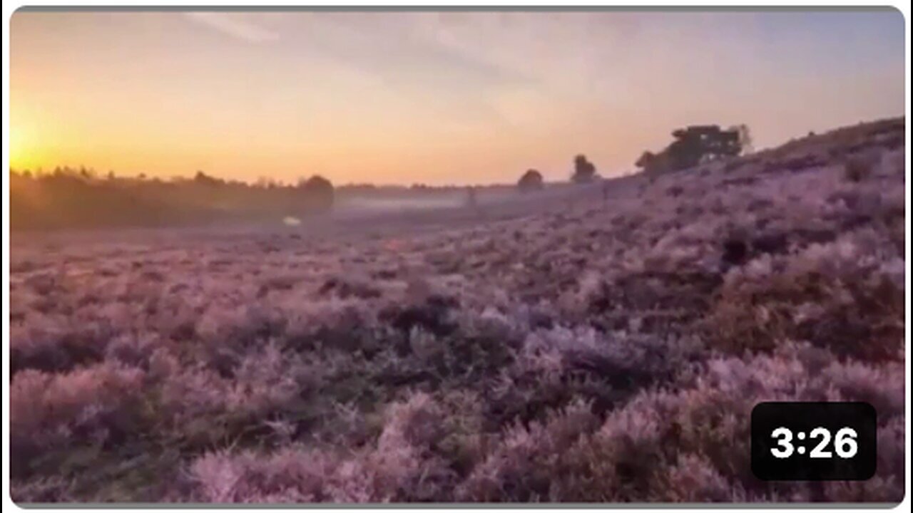 "Going to Shine" - William Cooper