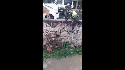 Officer Rescues Dog ❤️🐾 #Cops #Police #DogRescue #Wholesome #GoodCop