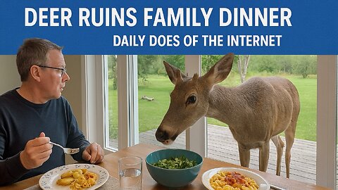 Deer Ruins Family Dinner - Daily Does of The Internet
