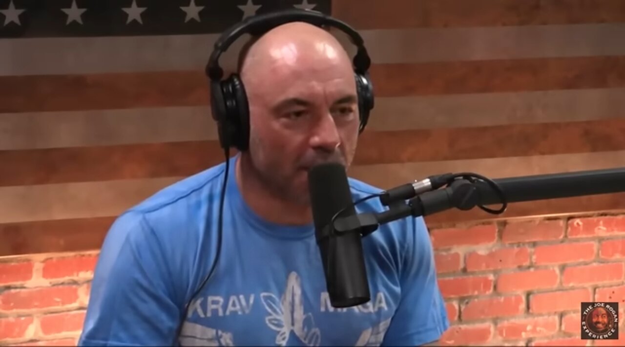 Joe Rogan - How Corrupt is Somalia?